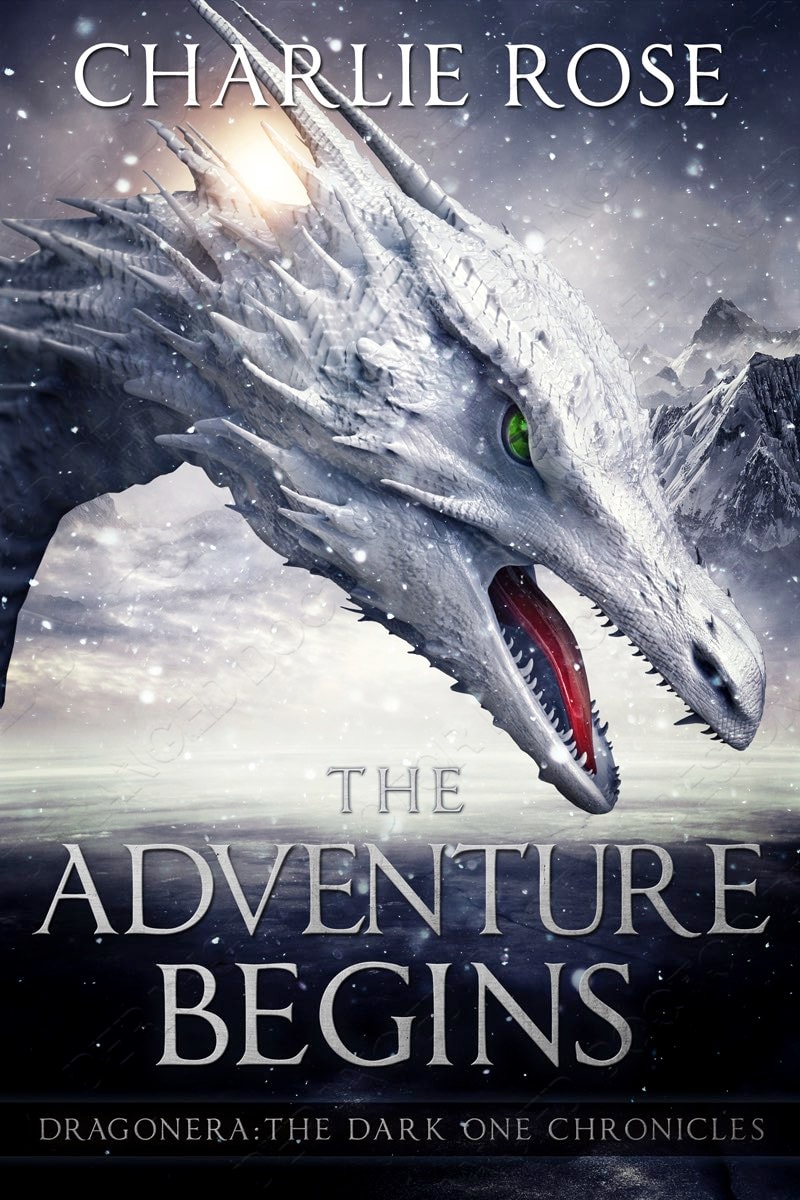 Cover art for The Adventure Begins